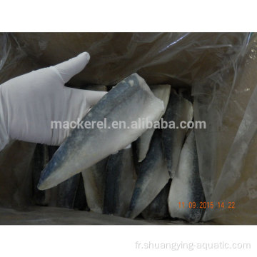 IQF Hot Sale Quality Whole Block Mackerel Filet